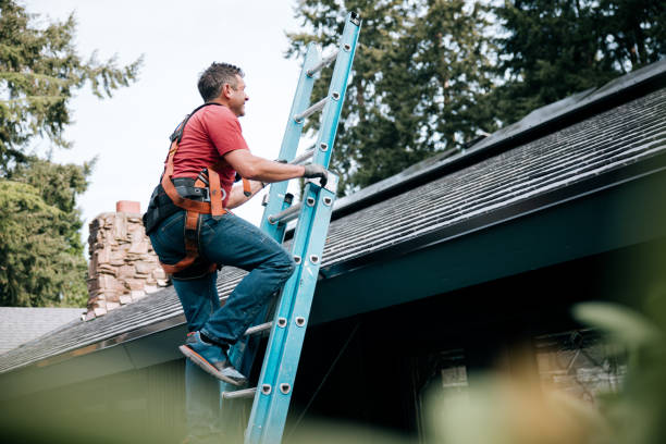 Best Metal Roofing Installation  in Hales Corners, WI